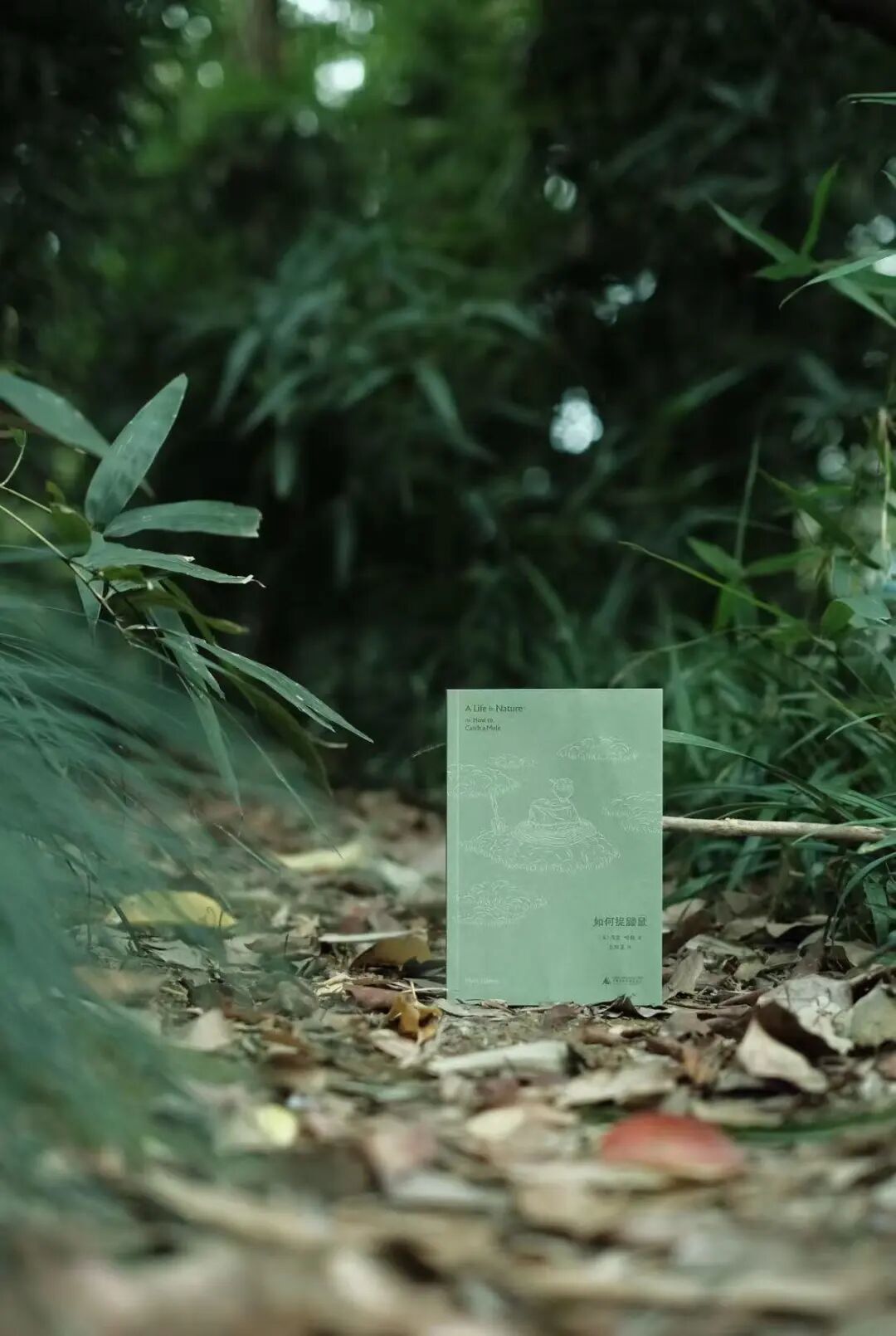一家出版社的年终复盘与书海漫游