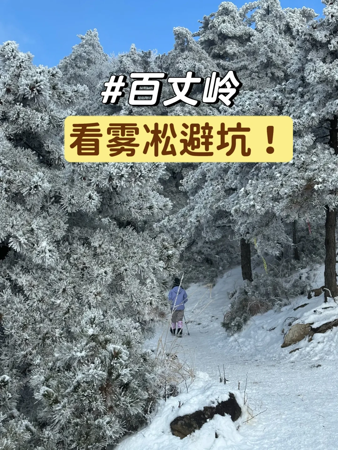 百丈岭赏雪全攻略:亲测路线与装备指南