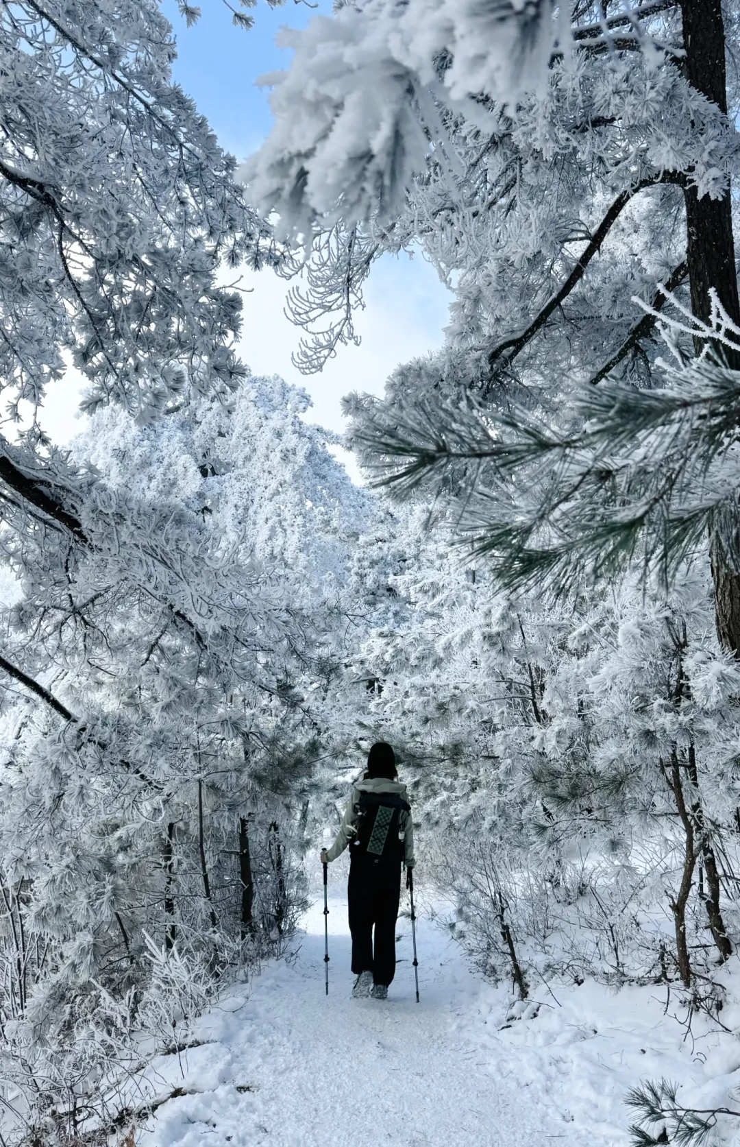 百丈岭赏雪全攻略:亲测路线与装备指南