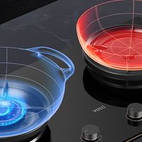 一级能效燃气灶有哪些推荐。