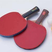 告别乒乓新手选拍焦虑，一篇就够了