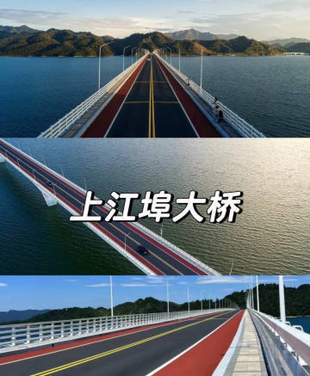 “禁止蕉绿”,随时补能!这个自行车公园的香蕉贩卖机火了