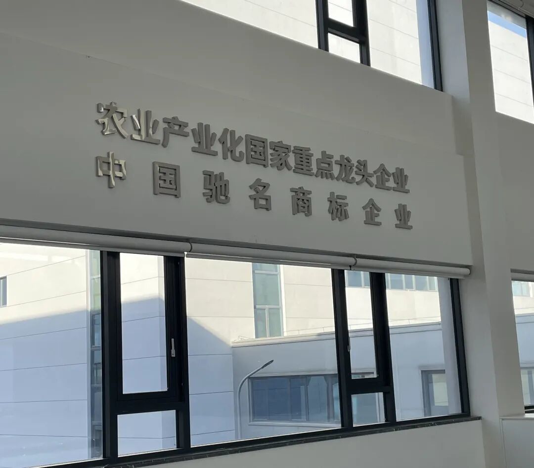 从一碗猫粮看透一座城市的温度
