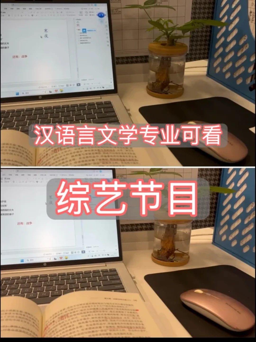 提升文化素养的宝藏综艺清单