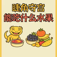 睫角守宫水果食谱：安全喂食全攻略