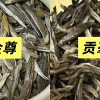 茉莉花茶怎么选？从入门到送礼全攻略