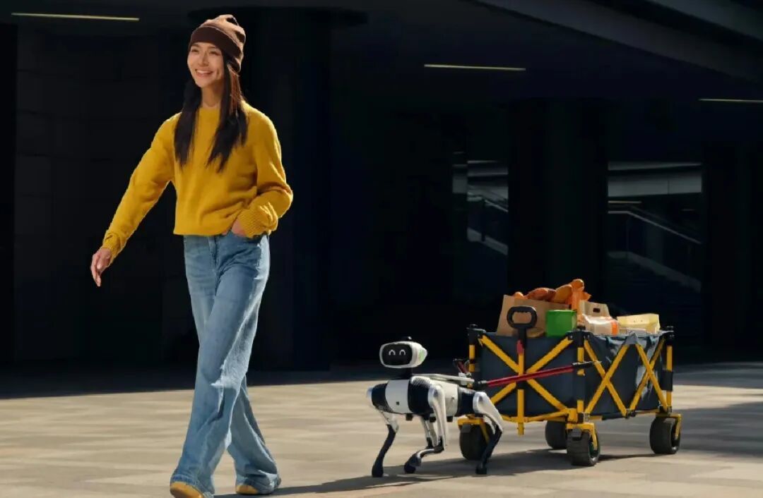 大头BoBo:AI驱动的自主机器狗
