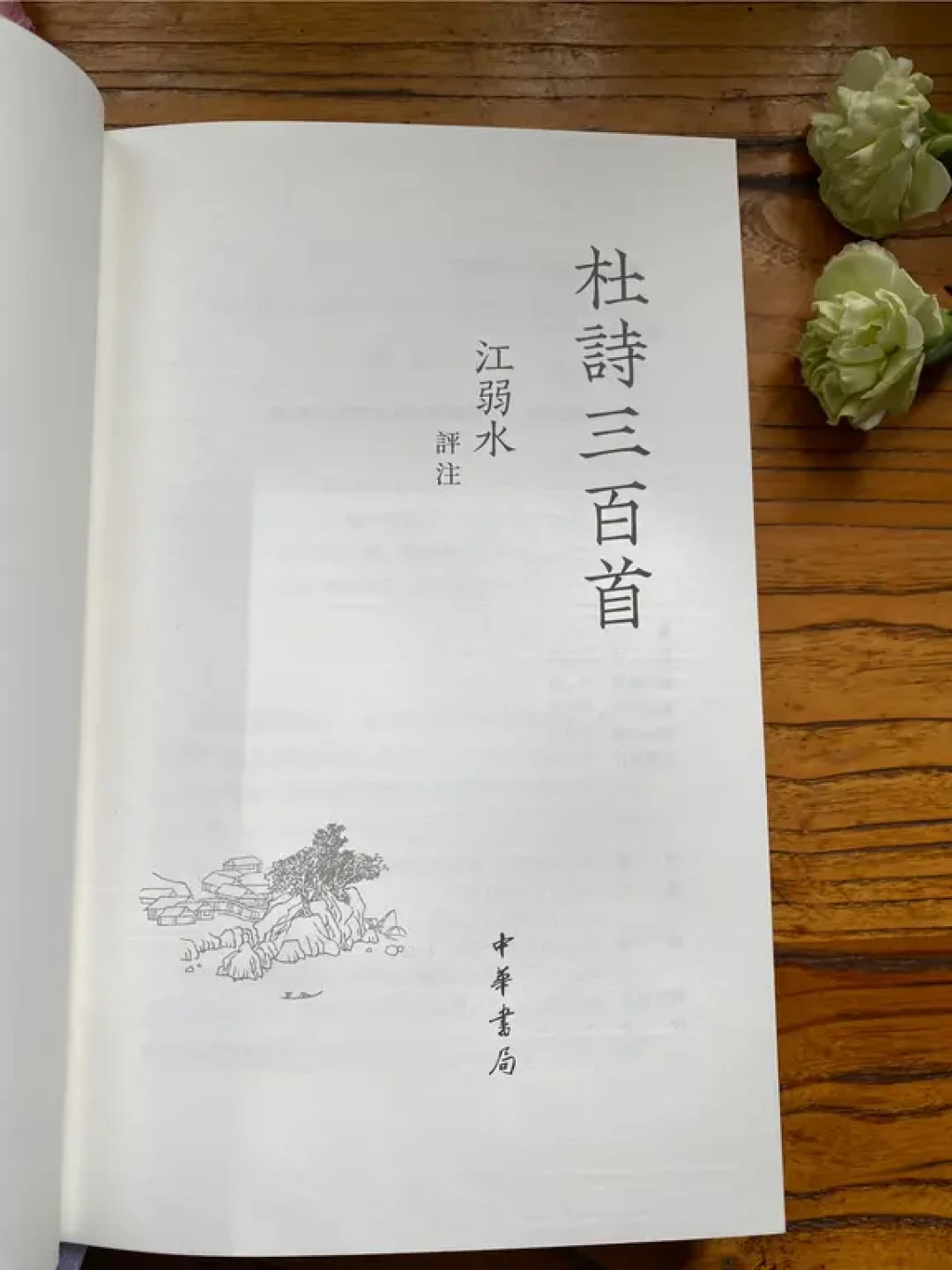《杜诗三百首》:一部写给当代人的注本