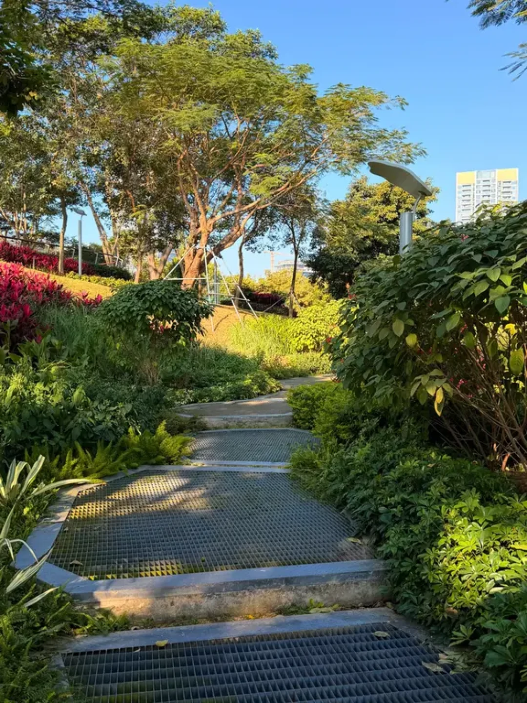 前海运动公园全攻略:人少景美还能免费海钓