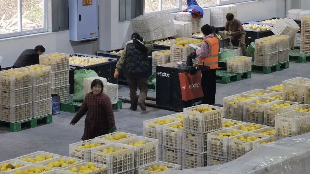 农产品出海热潮下,比出口额更重要的是什么