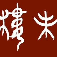 《红楼梦》：超越时代的文学瑰宝与思想深度