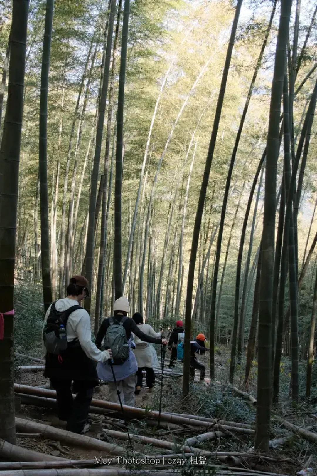 新手友好!鸬鸟山9.5km雾凇徒步全攻略