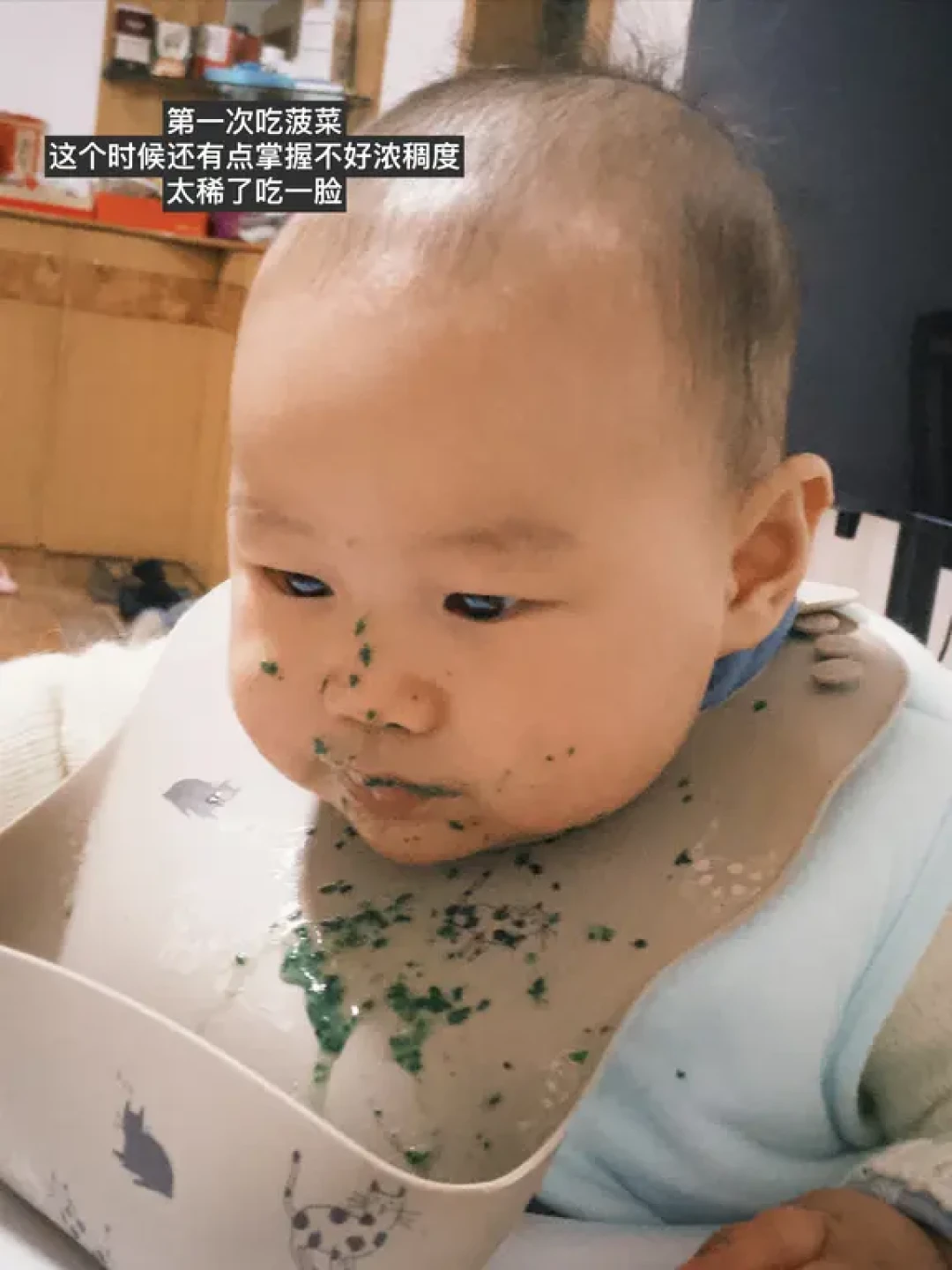 职场妈妈的宝宝辅食一月规划总结