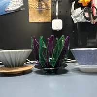 Hario睡莲滤杯深度测评：好看但不好用？