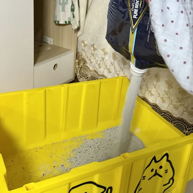 终结粉尘困扰：一款矿砂猫砂的深度体验