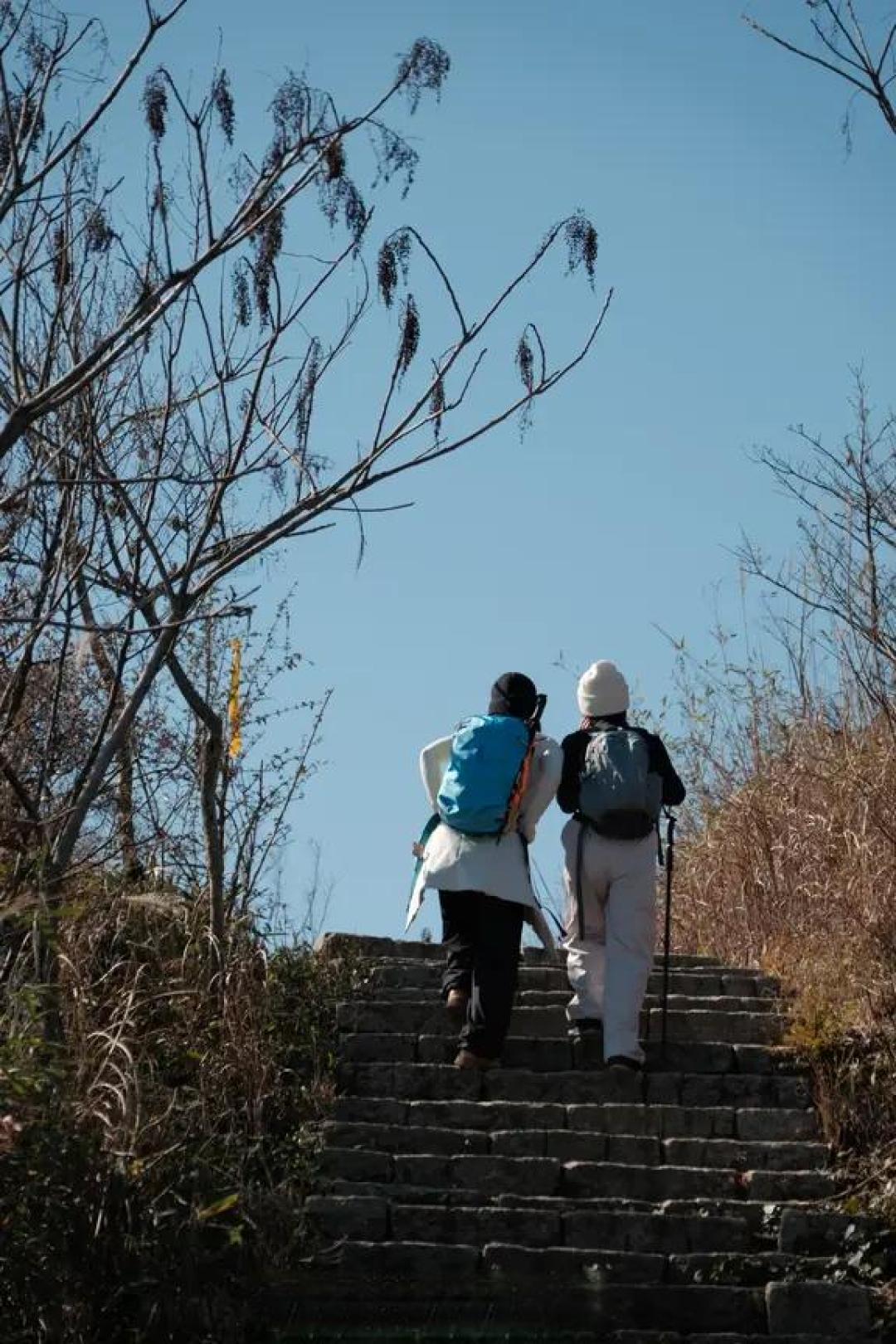 新手友好!鸬鸟山9.5km雾凇徒步全攻略