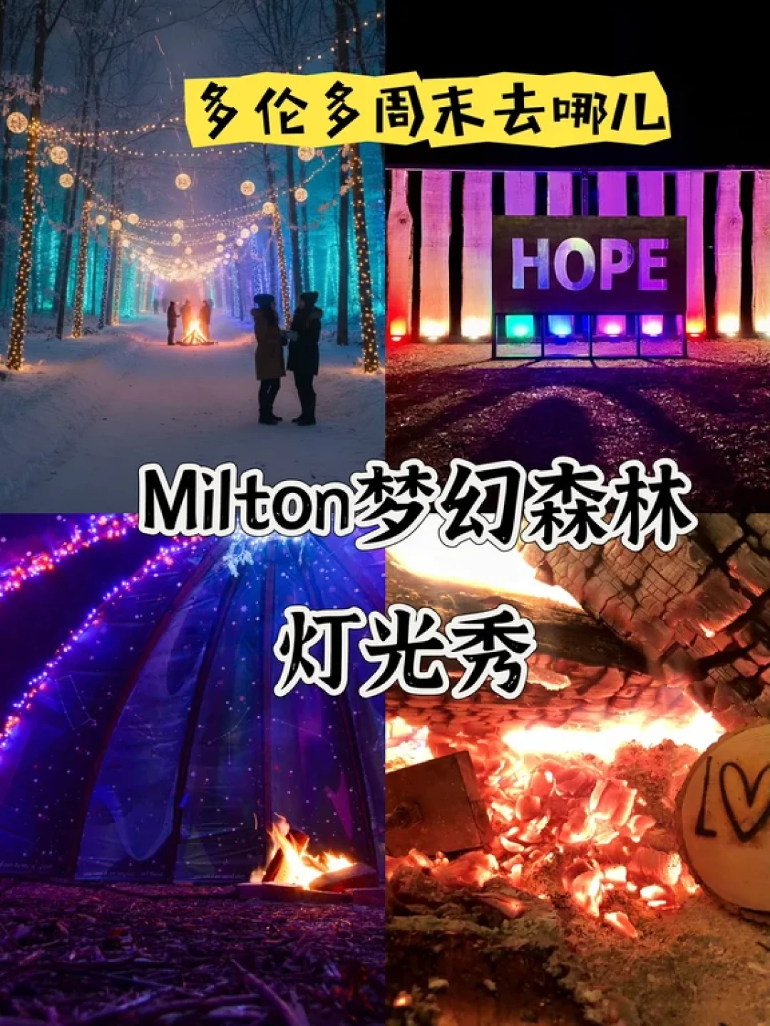 探秘Milton冬季灯光森林：一份治愈系周末指南