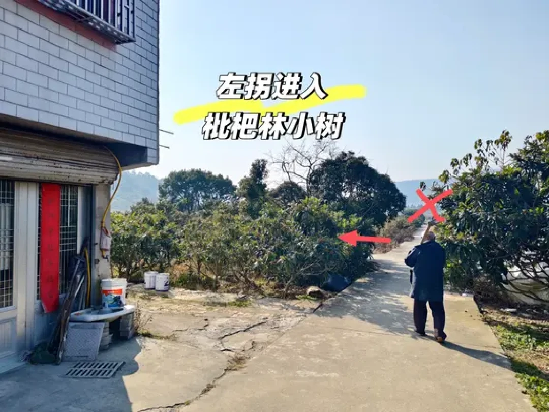 台州亲子徒步‖台州植物园小环线( 5km)
