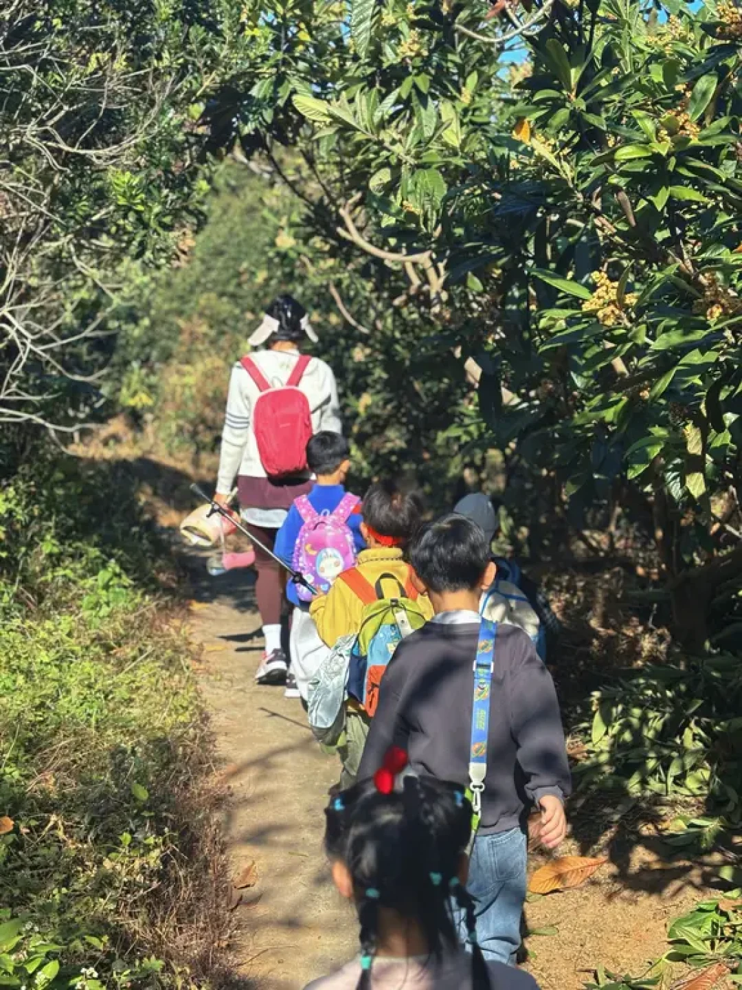 台州亲子徒步‖台州植物园小环线( 5km)
