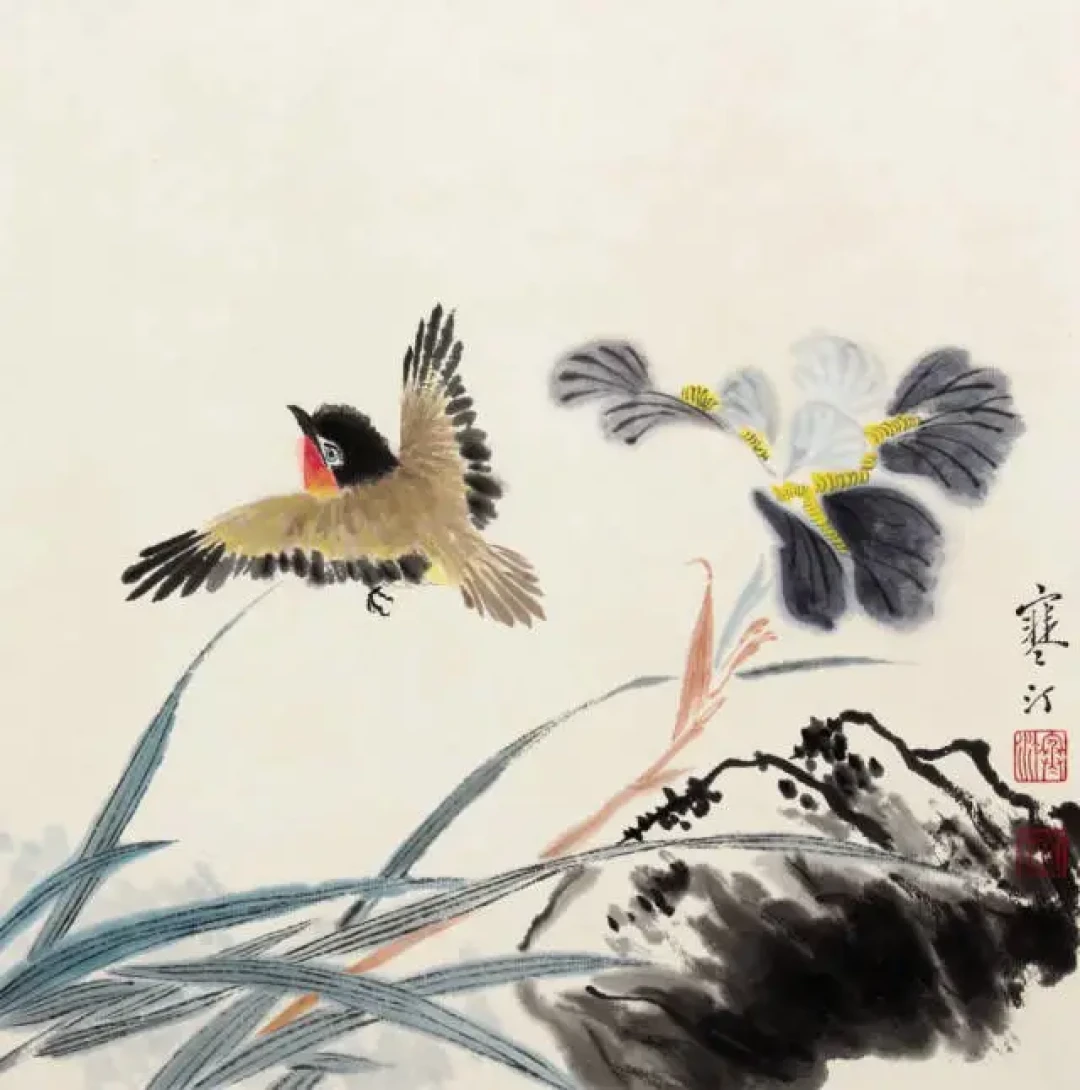 江寒汀:笔下花鸟栩栩如生的秘诀