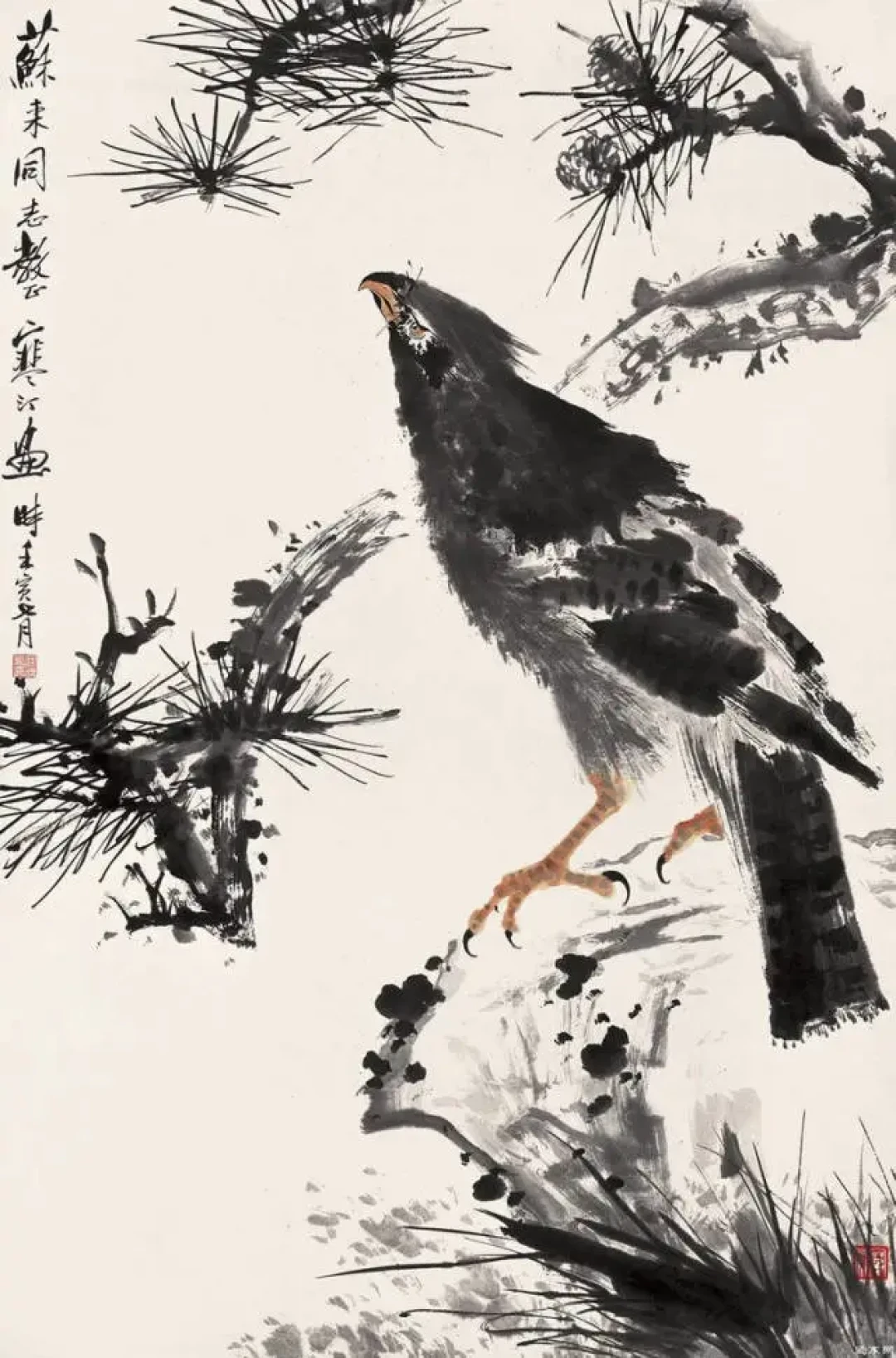 江寒汀:笔下花鸟栩栩如生的秘诀