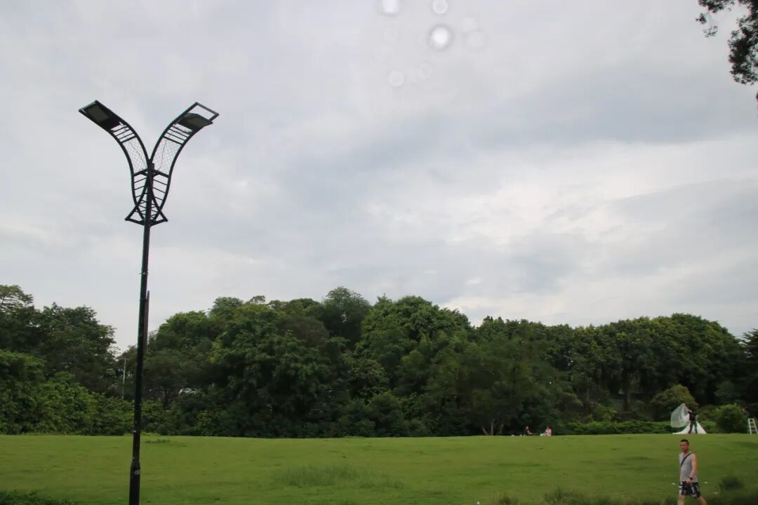 白云山登顶记:一步一景,半部南粤史