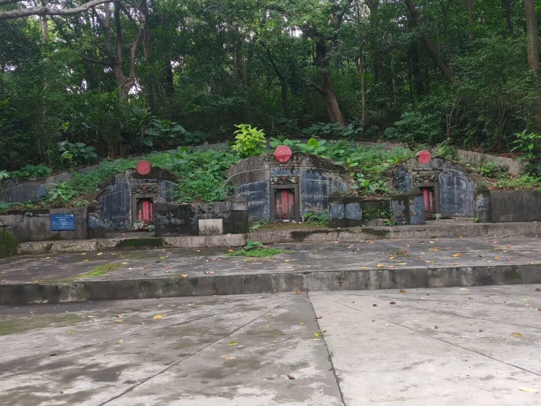白云山登顶记:一步一景,半部南粤史