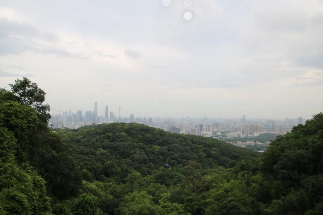 白云山登顶记:一步一景,半部南粤史