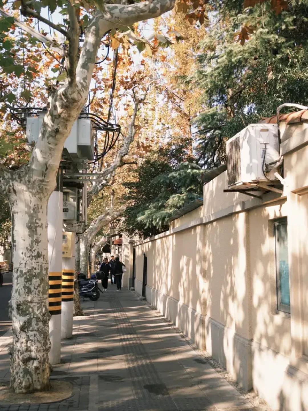 周末早晨,解锁安福路i人专属漫游