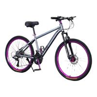 七八十年代的自行车江湖：款款都是时代的印记