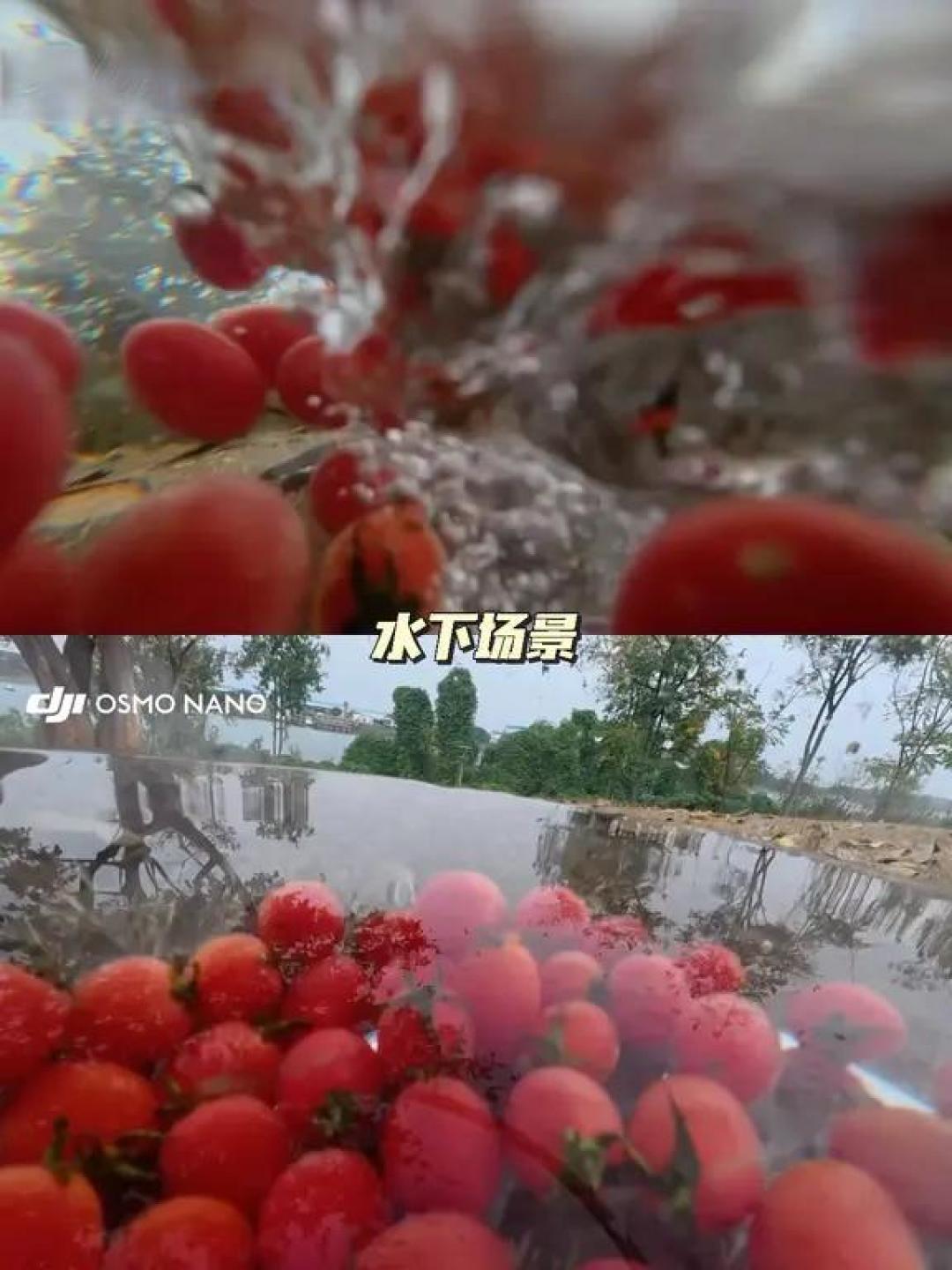 大疆Nano实测:52克相机如何胜任全场景拍摄?