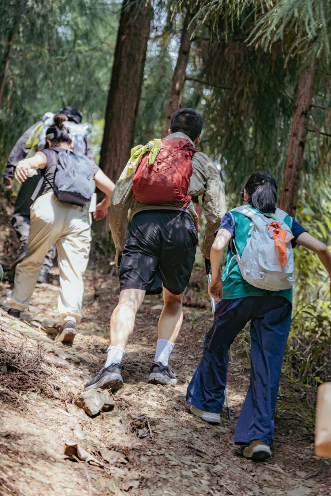带娃徒步不费劲,彭州这几条宝藏路线值得走