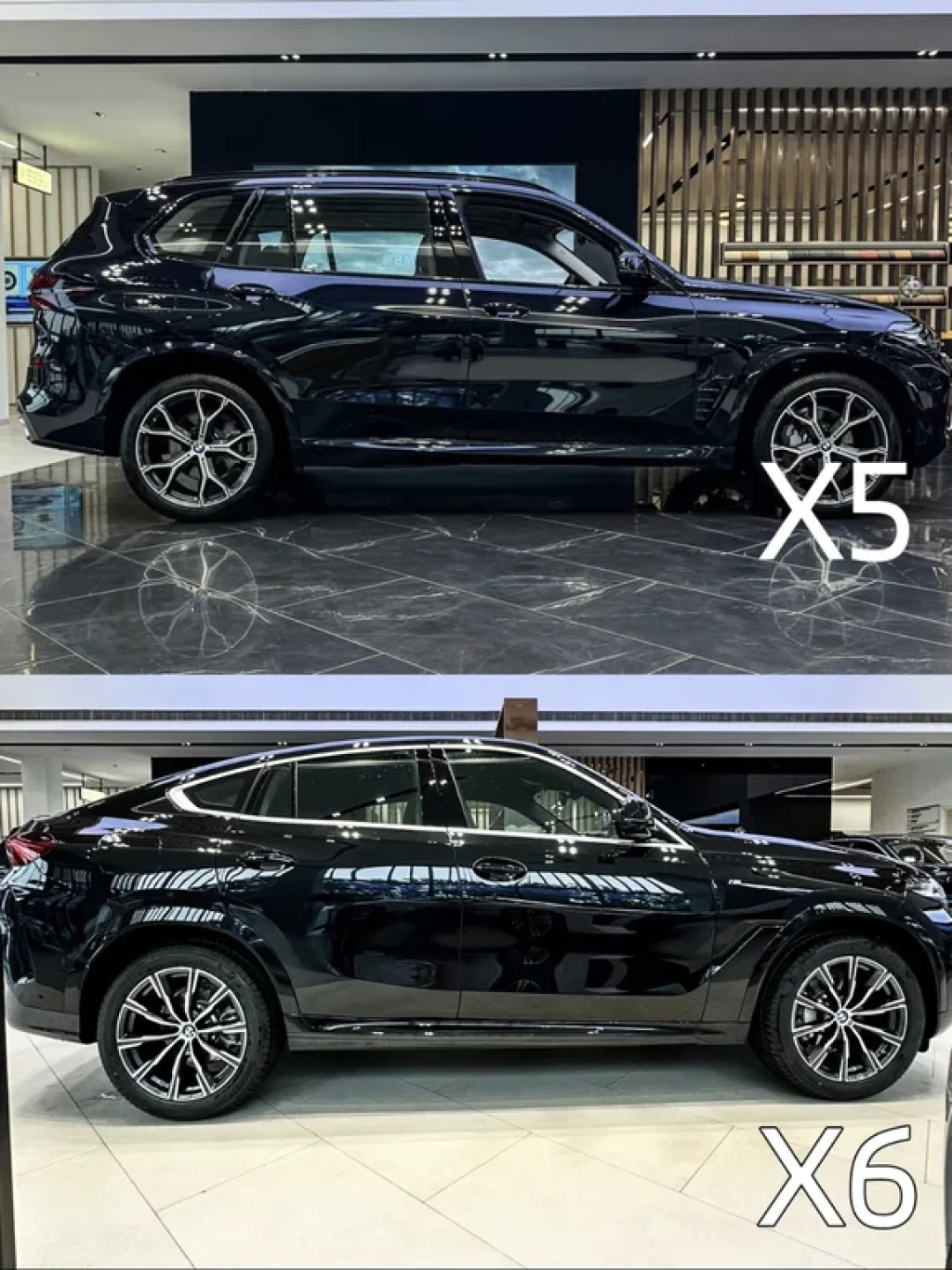 宝马X5与X6:全能与个性的极致抉择