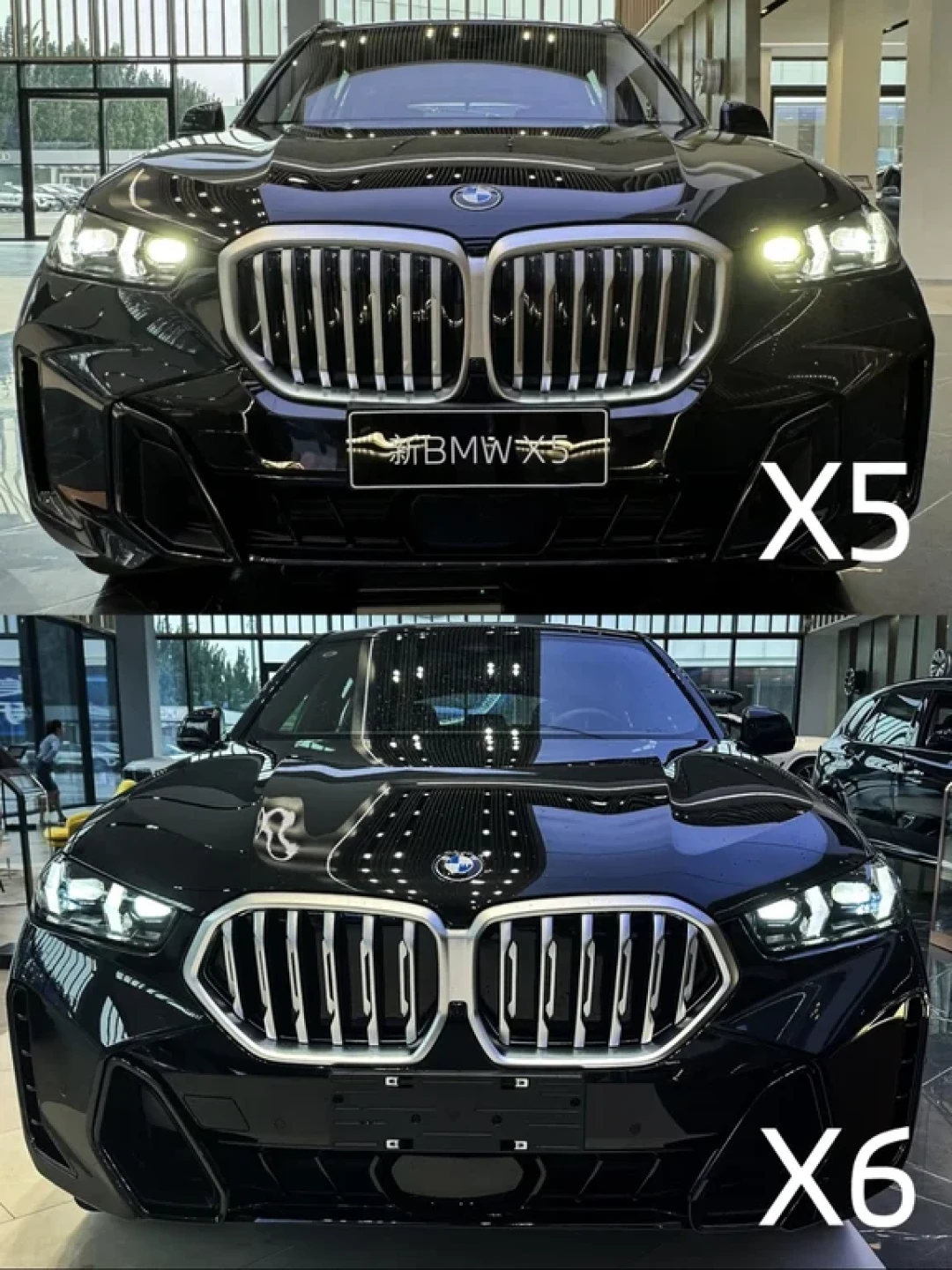 宝马X5与X6:全能与个性的极致抉择