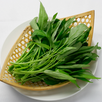 破解空心菜谣言：它并非抽筋菜，而是营养宝库