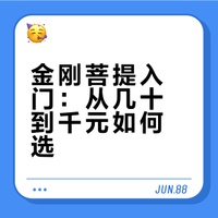 金刚菩提入门：从几十到千元如何选