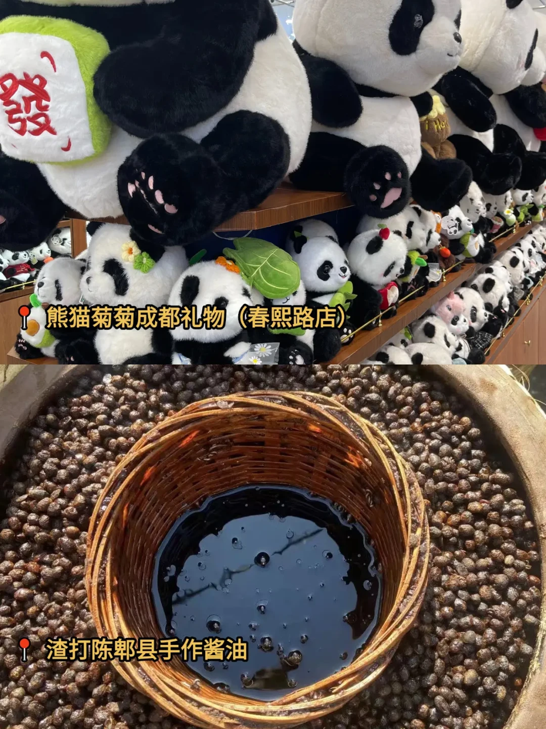 成都一日游精华路线，吃玩不踩雷