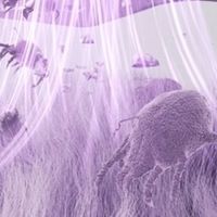 除螨仪值不值得买呢？2026十大家居好用除螨仪！养宠党必看！