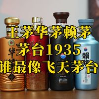 第21期：王茅华茅赖茅茅台1935谁最像飞天茅台