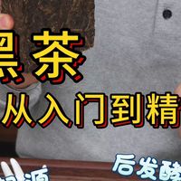 秒懂黑茶!真的没有废话,边喝边看,太干了