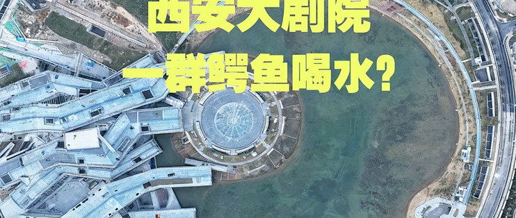 王澍的西安大剧院:是一群鳄鱼喝水?_国内门票与活动_什么值得买