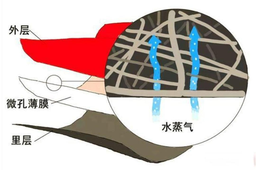 校服夹层薄膜揭秘:是防水TPU,安全合规但工艺或存瑕疵