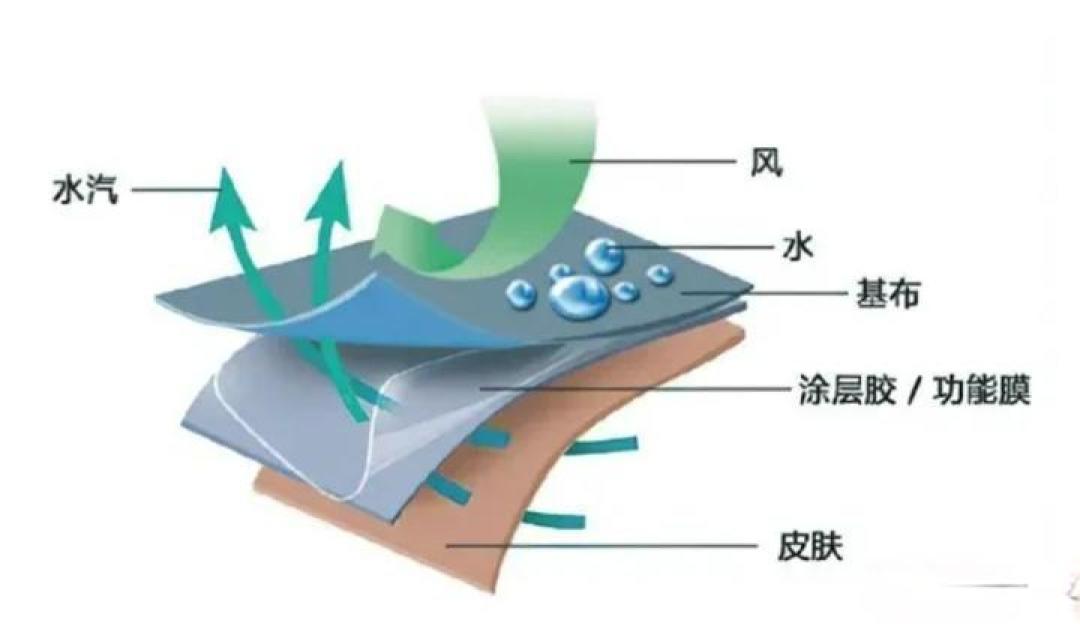 校服夹层薄膜揭秘:是防水TPU,安全合规但工艺或存瑕疵