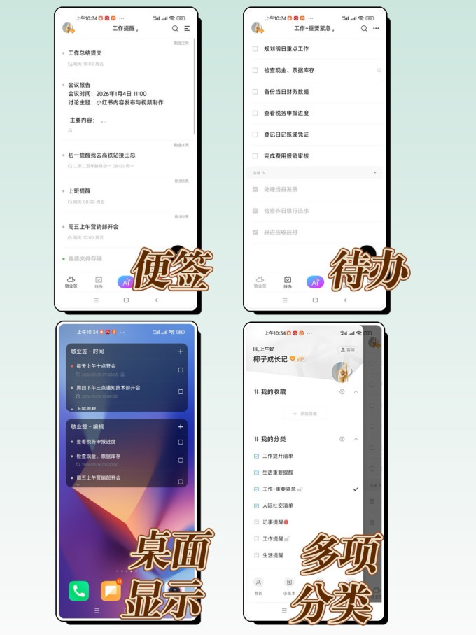 纸品