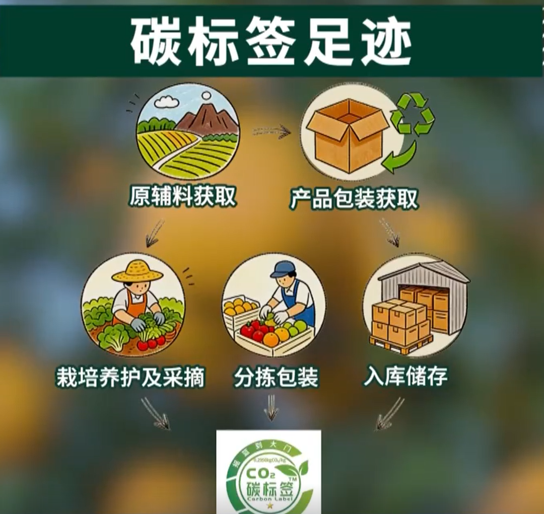 蒲江耙耙柑,凭什么上了央视新闻?
