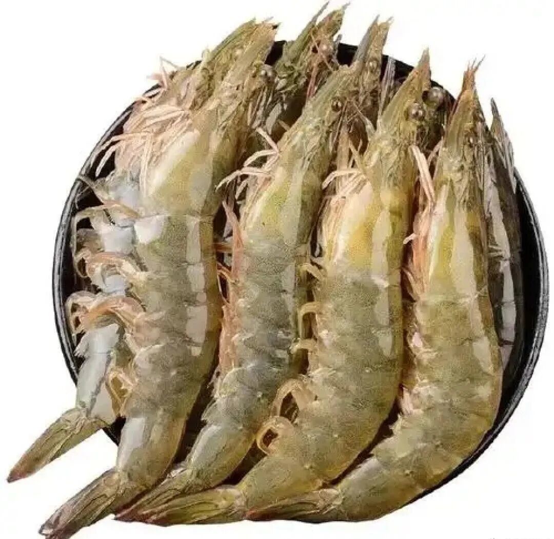【哔哔】白色、棕色、粉红色、蓝色、绿色、青色的虾到底有啥区别？来看看不同颜色的虾！
