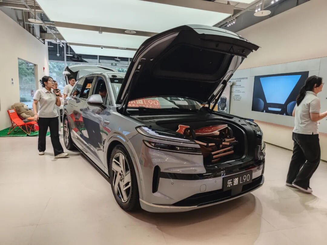 2025汽车销量盘点之大型SUV篇:“新能源大六座SUV”元年名副其实!
