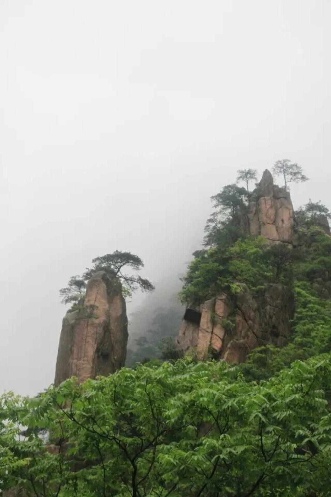 黄山归来不看岳,黑菜带你游黄山