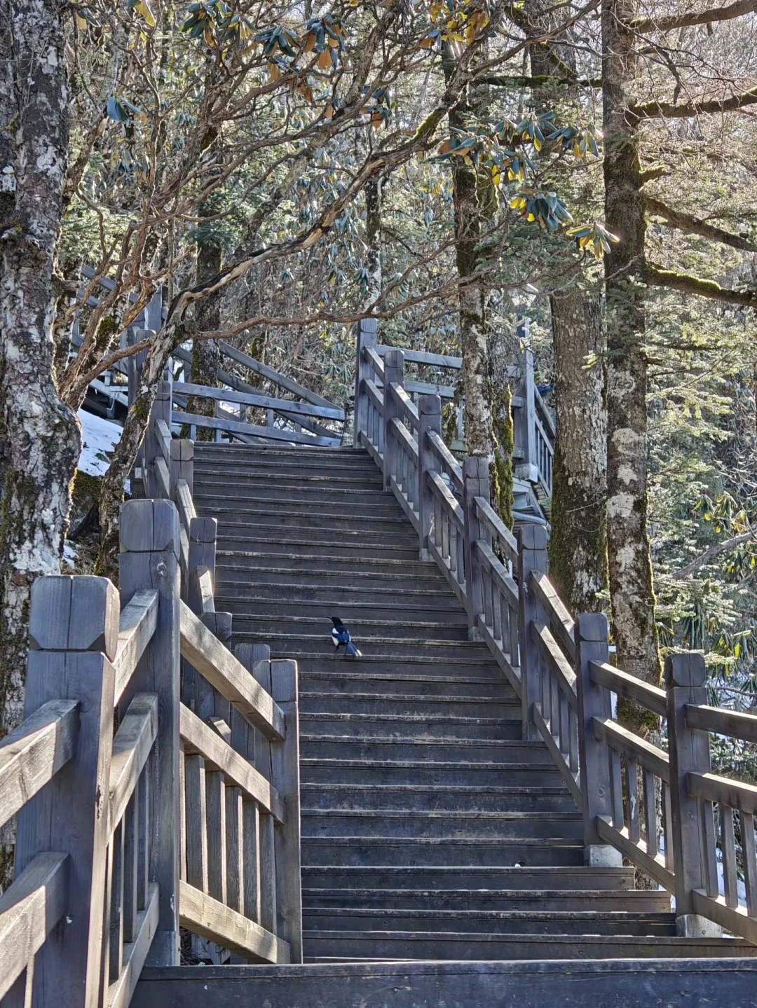 太白山 12 月高海拔徒步 | 未登顶版