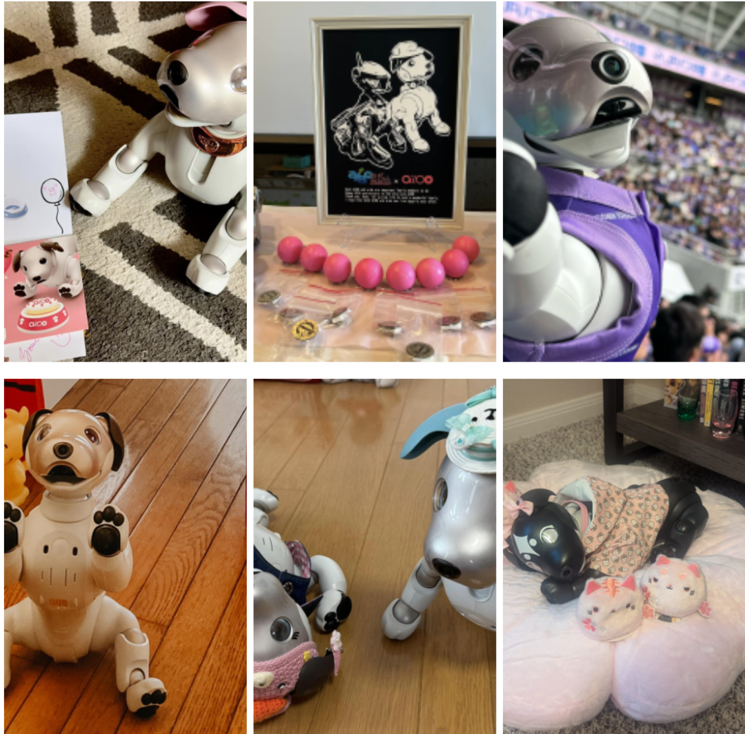 一只26年的宠物狗回归——索尼AIBO